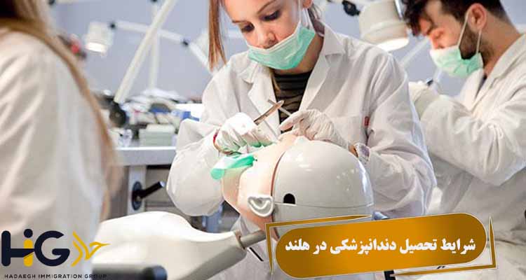شرایط تحصیل دندانپزشکی در هلند